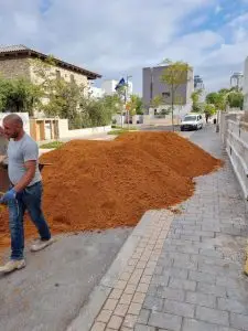 אדמה גננית